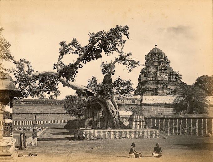 Ekambareswarar (Ekambaranathar) Hindu (Lord Shiva) Temple, Kanchipuram, Tamil Nadu, India | Rare & Old Vintage Photos (1870)