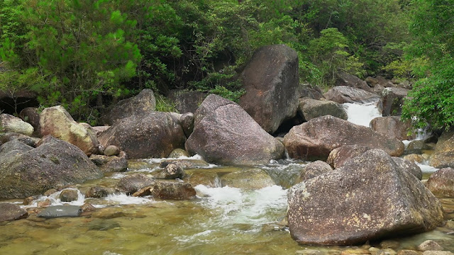 泉水是水中之王，非常的珍貴。有時在山間流淌，有時在田間某處，有時又在山腳下，那這些泉水是從哪兒來的呢？陳淑家鄉的許多地方就有清泉，他信神後才知道了泉水的來源，也看到了造物主的愛。