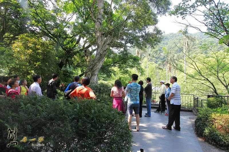 太子西餐廳｜板根百匯自助餐｜太子會館娛樂中心｜三峽吃到飽餐廳｜三峽西餐廳