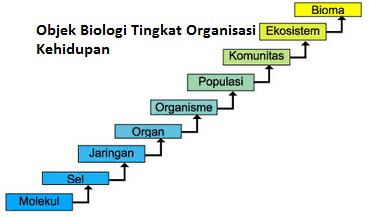 Objek Kajian Biologi - Macam dan Penjelasan Lengkap