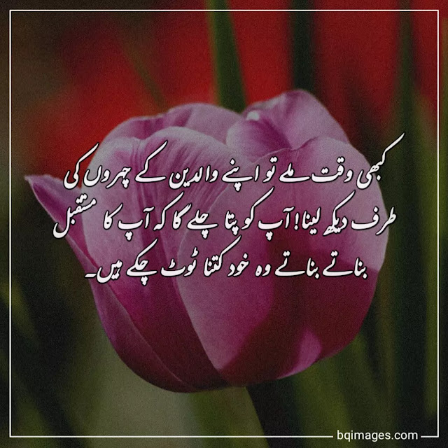 quotes on parents respect in urdu