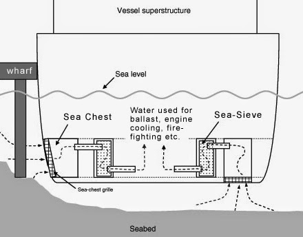 Bagas Albany Ridwan Sea Chest  kotak laut kapal