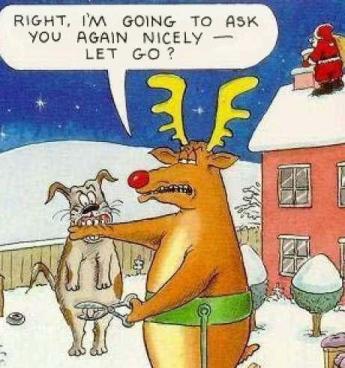 Christmas Cartoon Picture