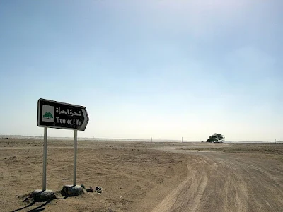 The Tree of Life on a desert in Bahrain