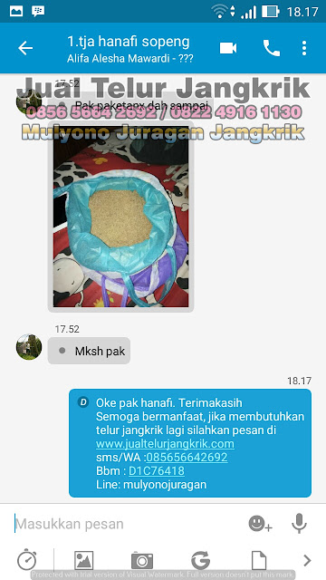 JUAL TELUR JANGKRIK testimoni PART3 dari pelanggan