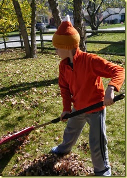candy corn rake crop