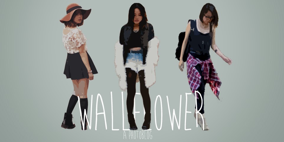 wallflower
