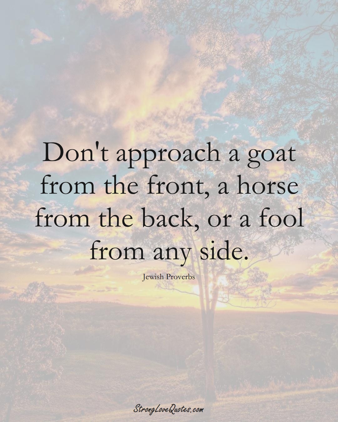 Don't approach a goat from the front, a horse from the back, or a fool from any side. (Jewish Sayings);  #aVarietyofCulturesSayings