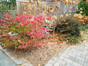 Oakwood Village Toronto Backyard Fall Cleanup before by Paul Jung Gardening Services