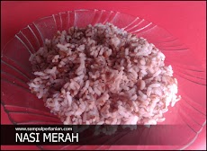 5 Manfaat Nasi BERAS MERAH bagi KESEHATAN