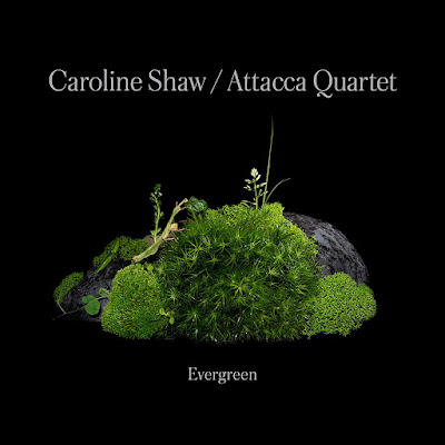 Caroline Shaw Evergreen Album