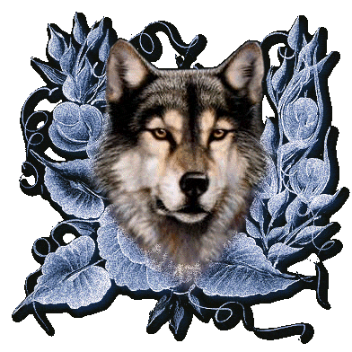 perros (9)