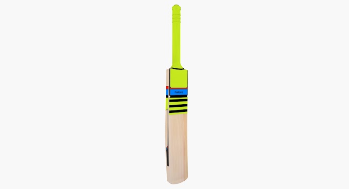 Cricket Bat 02