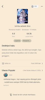 Membaca Novel- www.bukablog.com