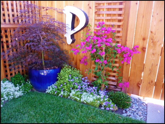 Backyard Blues 018 (800x600)
