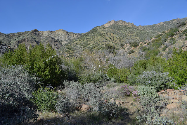 curve of vertical rocks