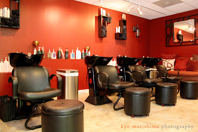 Choosing the Best Salon for What You Will Need