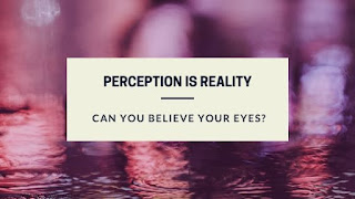 Perception is Reality