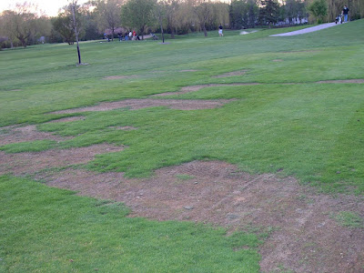 7th Fairway April 2007