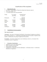 CLASSIFICATION OF MICROORGANISMS