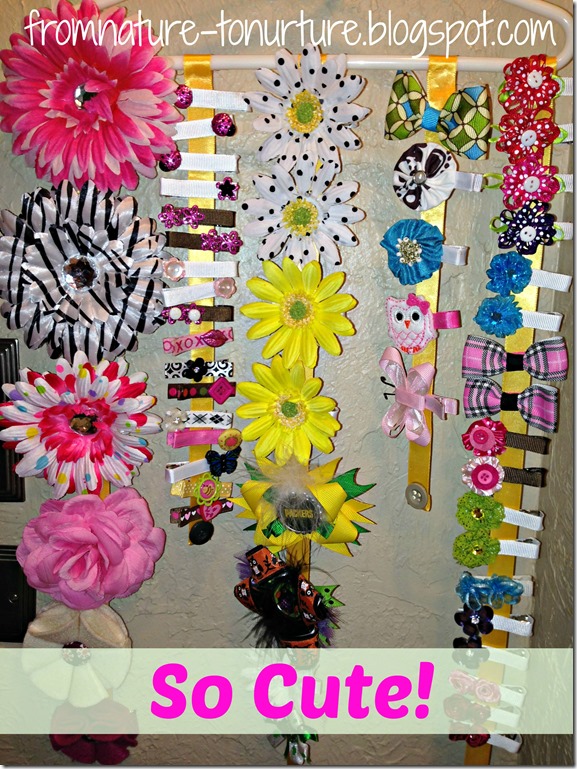 Hairclips7