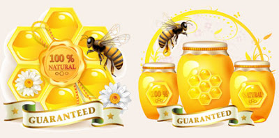 Honey & Bee Vector