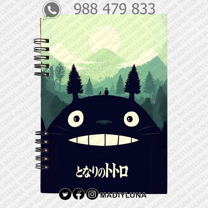 🌸 La amistad de Totoro en el mundo de Hayao Miyazaki y Studio Ghibli 🌿🏡