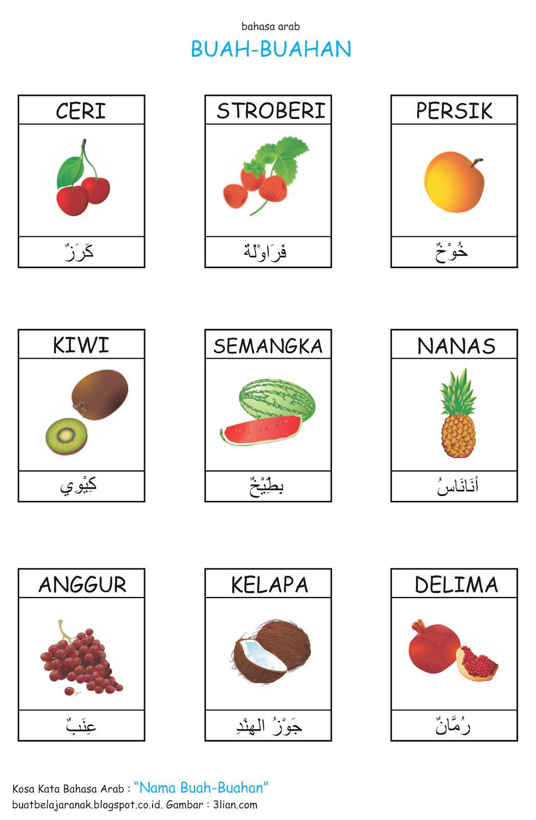 Kosa Kata Nama Buah buahan  Dalam  Bahasa  Arab  Buat 