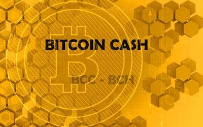 BCH/USD Could Move Higher