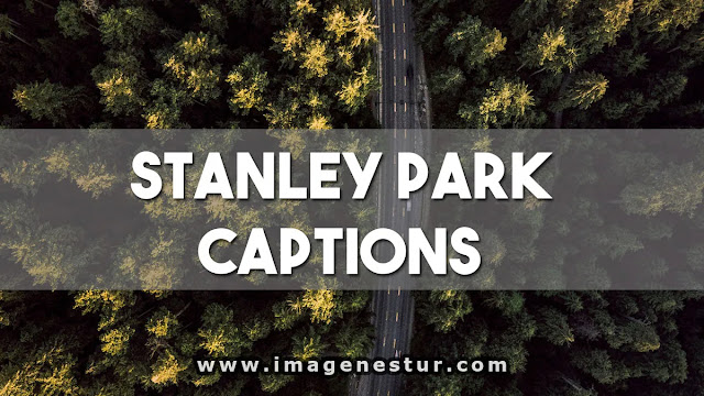 Stanley Park Captions for Instagram