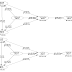 The China Study II: Carbohydrates, fat, calories, insulin, and obesity
