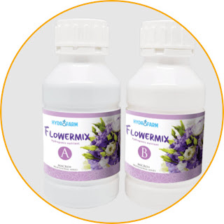 Hydrofarm Nutrition FlowerMix AB (liquid) Apply Flowermix AB, the roses and orchids will be fresher. This fertilizer is a hydroponic nutrient containing nutrients that are essential for the growth of various types of flower plants. Can be applied to roses, chrysanthemums, orchids, and others. Its content supports the growth of flower plants to make them more fertile and fresher. So, your garden will look more beautiful. This fertilizer also contains mineral salts which dissolve easily in water. A set of this product is divided into parts A and B. The content of the two is different, you can adjust it to the needs of your flower plants. Choose Flowermix AB for a fresher floral look.