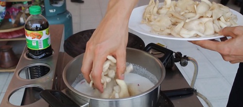 Bạn cho nấm sò vào nước cốt dừa thơm ngon