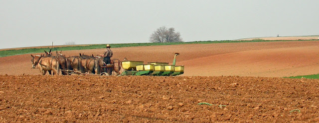 Amish farmer planting seed