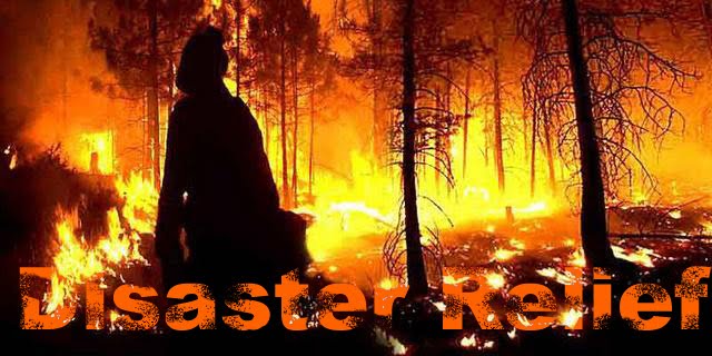 Disaster Report