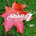 Download Sheila On 7 - Sekali Lagi [iTunes Plus AAC M4A]
