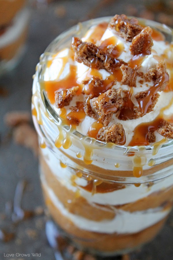 Love Grows Wild: Salted Caramel Pumpkin Parfaits