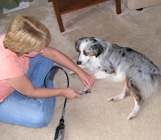 me trimming my dog's nails with a Dremmel