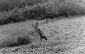 Vadföld, kaszálnak a vadaknak, 1970-es évek