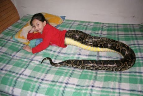 Thailand Snakegirl Attracts Crowds of Pilgrims and 