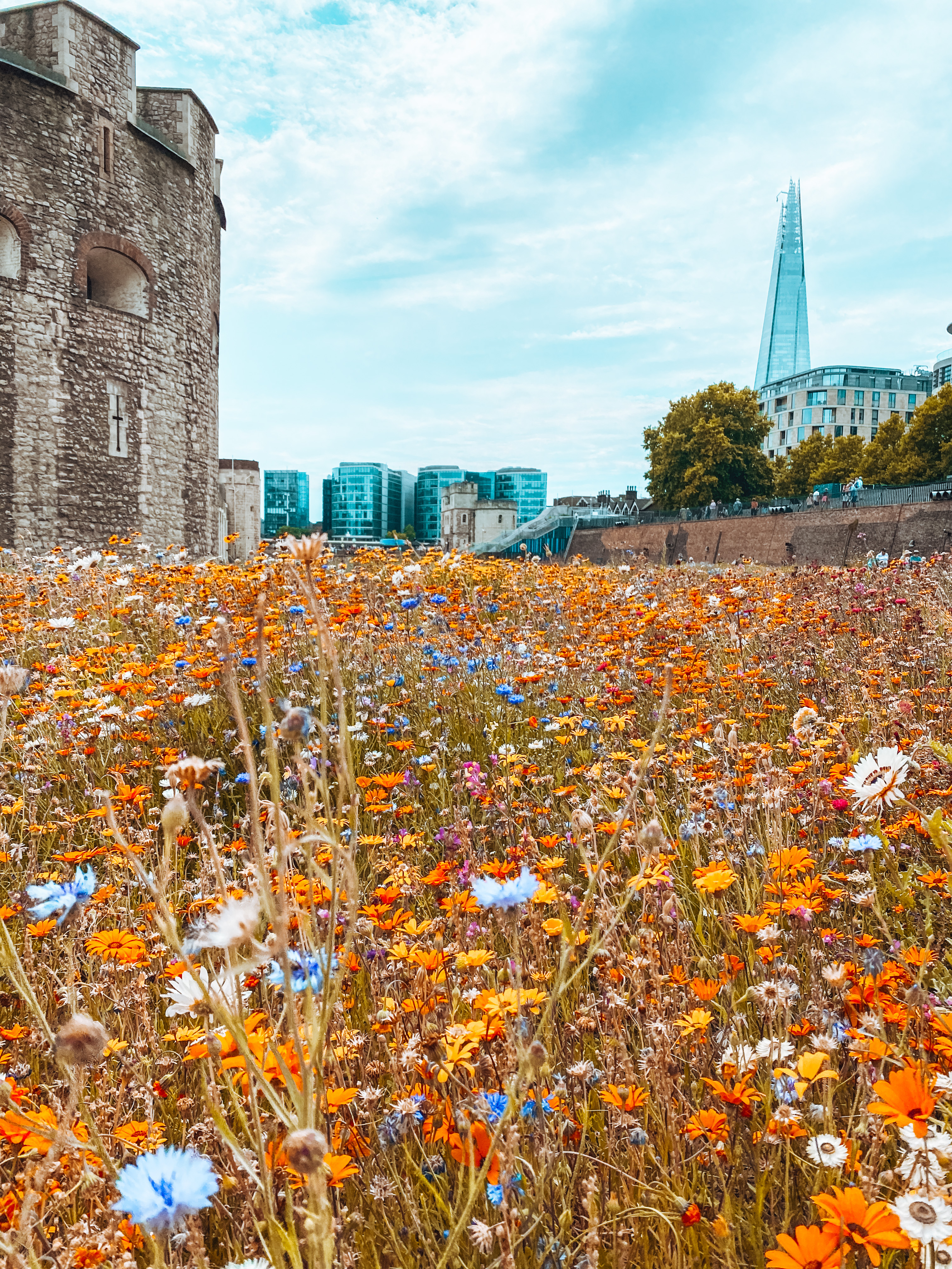 Superbloom at Tower of London