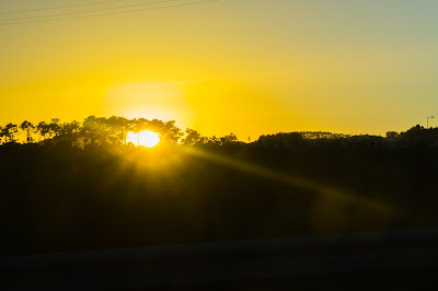 A sunset showing from the trees