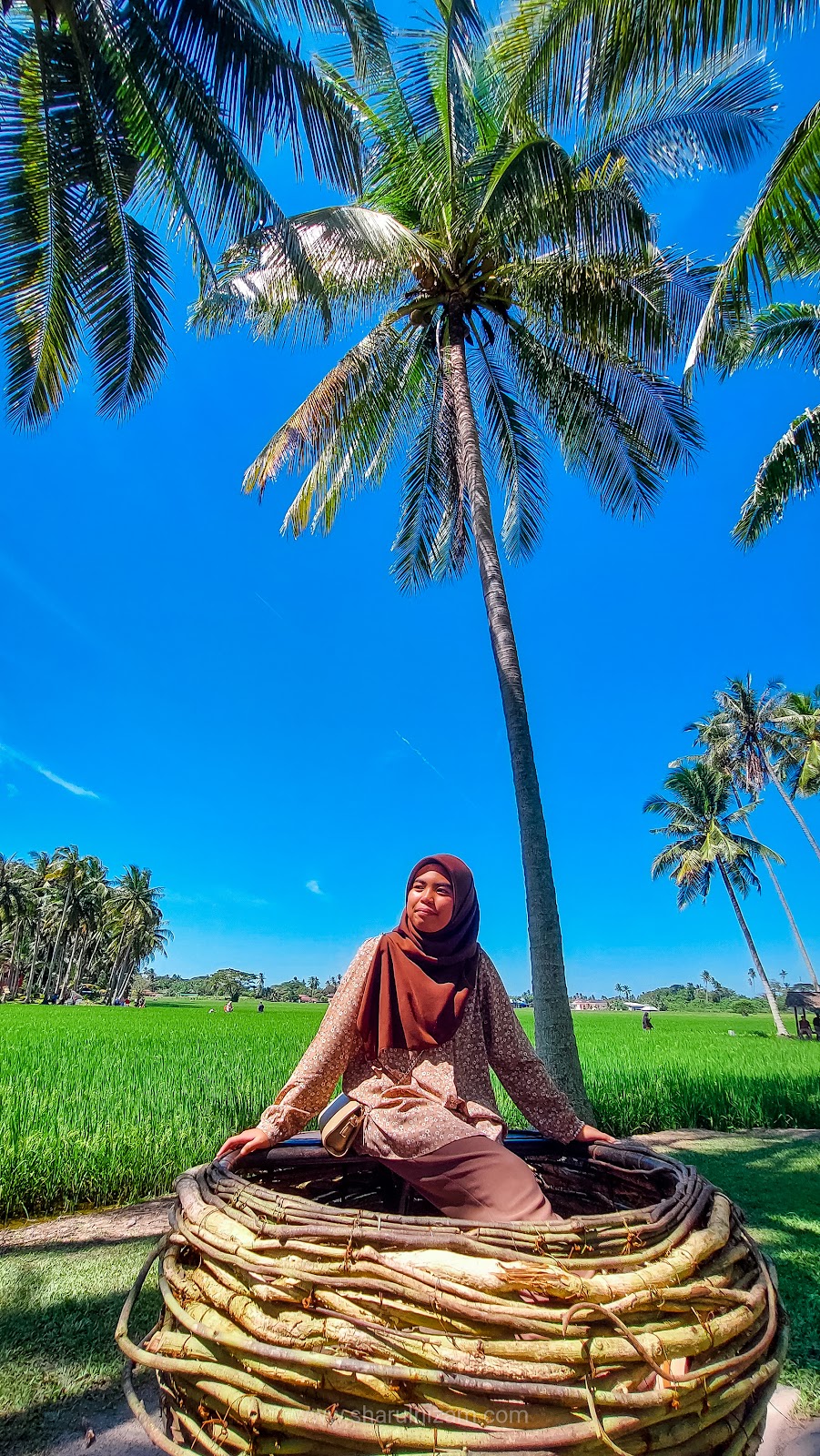 Kampung Agong  Di Penaga, Pulau Pinang