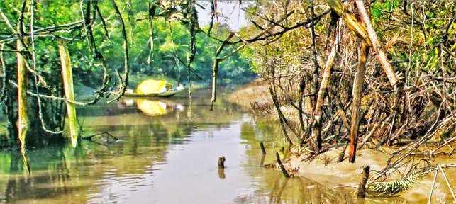 সুন্দরবনে তেলবাহী জাহাজডুবি- ঝুঁকিতে জীবন–জীবিকা ও স্বাস্থ্য by ইফতেখার মাহমুদ