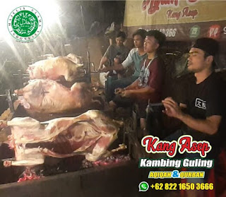 Sapi Guling Subang | 082216503666,Sapi Guling Subang,Sapi Guling,