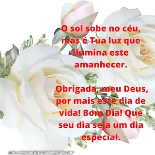 Mensagem Linda de Bom Dia Boa Tarde e Boa Noite as 65 mais compartilhadas no WhatsApp.