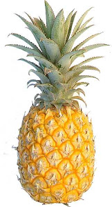 a pineapple