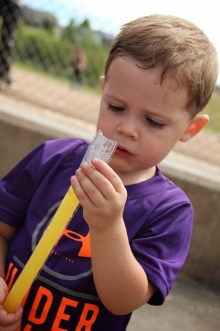 IMG_0252