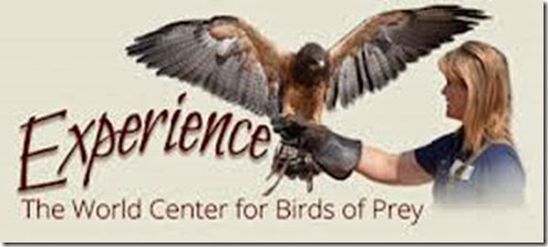 birds of prey center