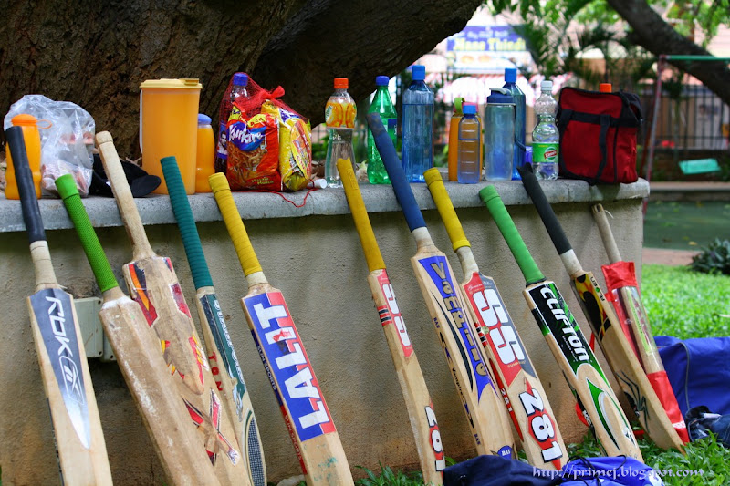 Cricket Bats